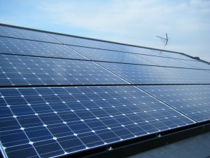 伊佐市 産業用太陽光発電 造成