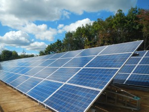 南九州市 産業用太陽光発電 造成